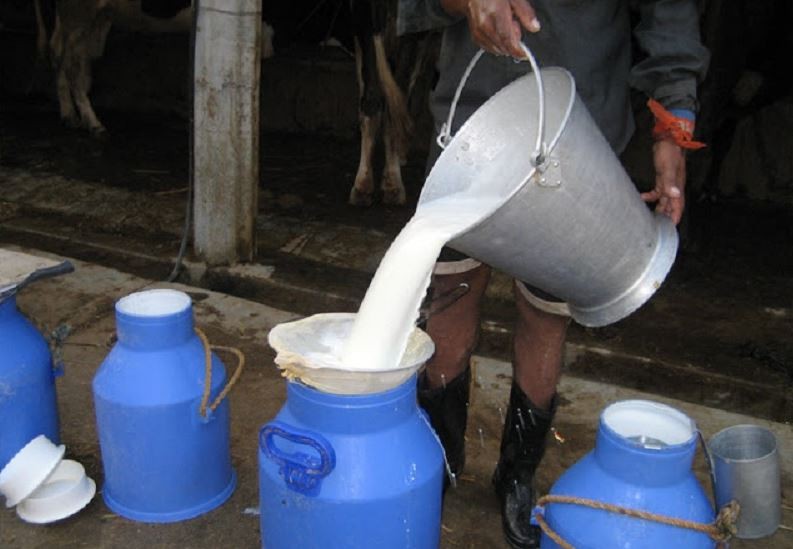 बन्दाबन्दी खुले पनि ७० प्रतिशत मात्रै दूध खपत