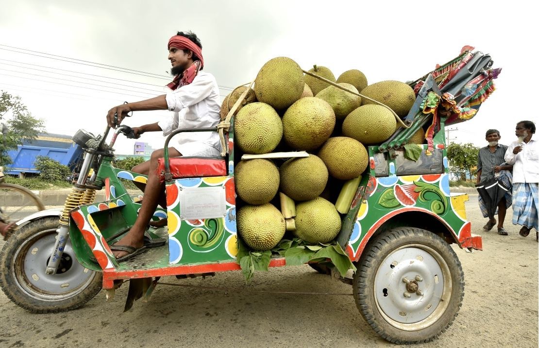 jackfruit -katahar -bangaladesh.JPG