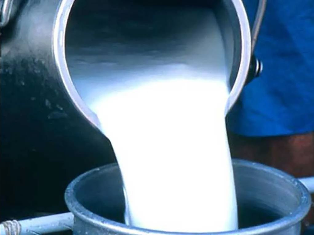 खपत कम हुँदा दूध किसानले पाएनन् भुक्तानी, अर्बौं रकम बराबरको धुलो दूध र बटर ‘स्टक’