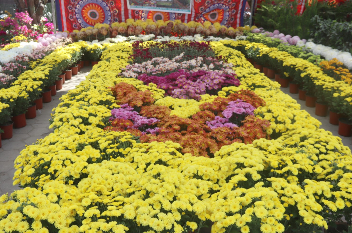 Flower, Phul Pradashani (2).jpg