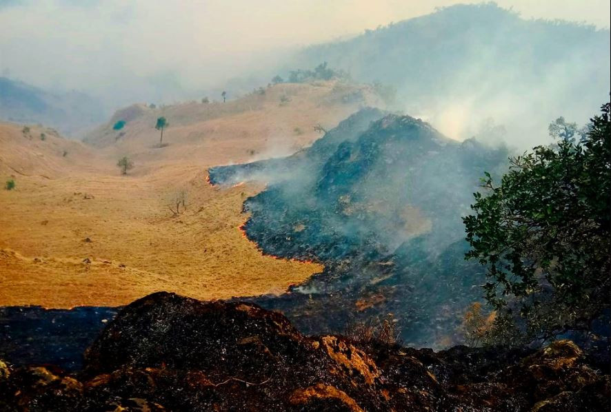 बागलुङमा ३८ वनमा आगलागी : १५ वनको आगो नियन्त्रण बाहिर, एक दर्जन गोठ र पशुचौपाया जले
